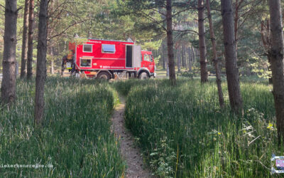 Krapi Campsite – Ein RMK Platz an der Ostsee direkt hinter der Grenze zu Lettland