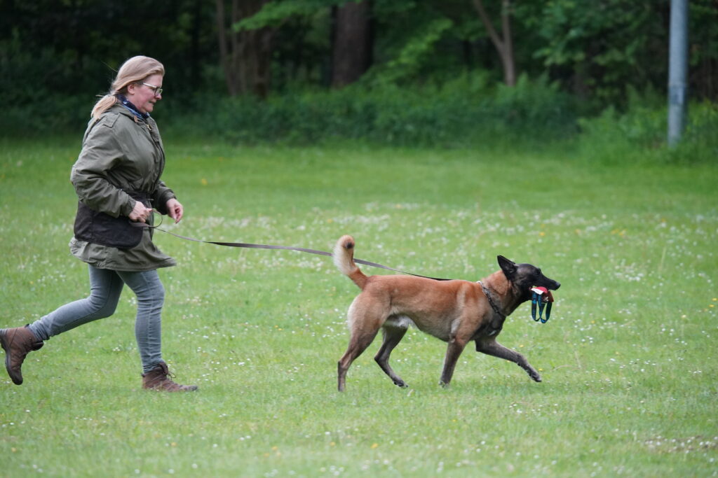 Anja von Niekerkensreise mit Malinois Elvis beim Hundesport