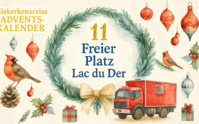🎄 Vanlife Adventskalender Türchen #11: Wohnmobilstellplatz am Lac du Der – Natur & Ruhe in Frankreich 🇫🇷🏞️🚒