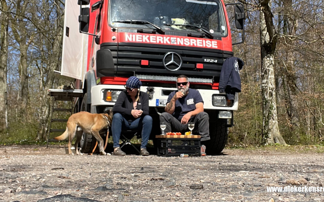 Freier Stellplatz am See – Aire de stationnement Camping-Car Languimberg 🇫🇷🌳🚒