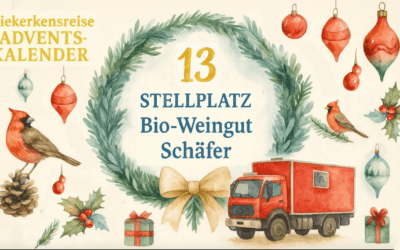 🎄 Vanlife Adventskalender Türchen #13: Stellplatz am BIO-Weingut Schäfer – Genuss & Ruhe in Mettenheim 🍷🚒🌿