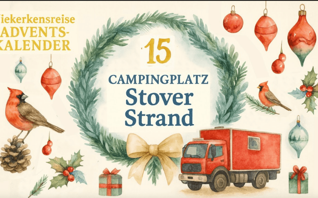 🎄 Vanlife Adventskalender Türchen #15: Wohnmobilstellplatz Stover Strand an der Elbe – Natur & Nähe zu Hamburg 🇩🇪🚒🌿