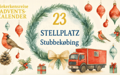 🎄 Vanlife Adventskalender Türchen #23: Wohnmobilstellplatz Stubbekøbing – Hafenblick auf Falster 🇩🇰⚓🚒
