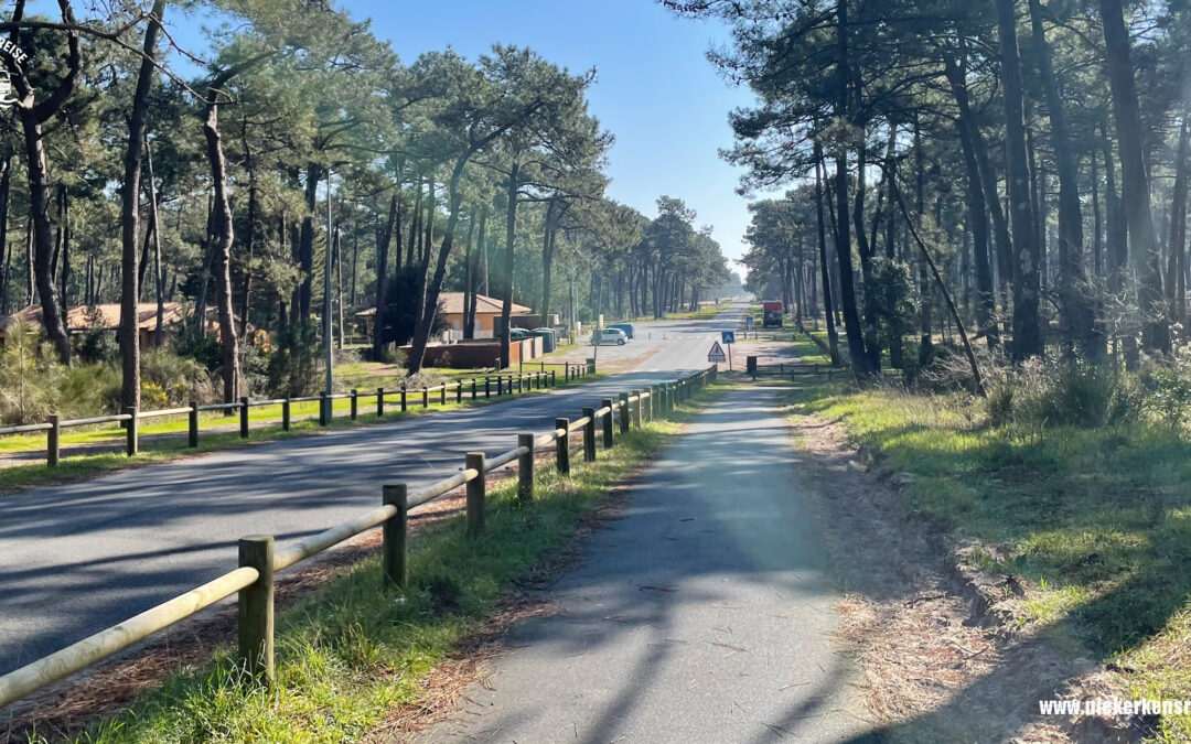 Camping Le Gurp – Naturcamping an der Atlantikküste Frankreichs 🇫🇷🌲🌊