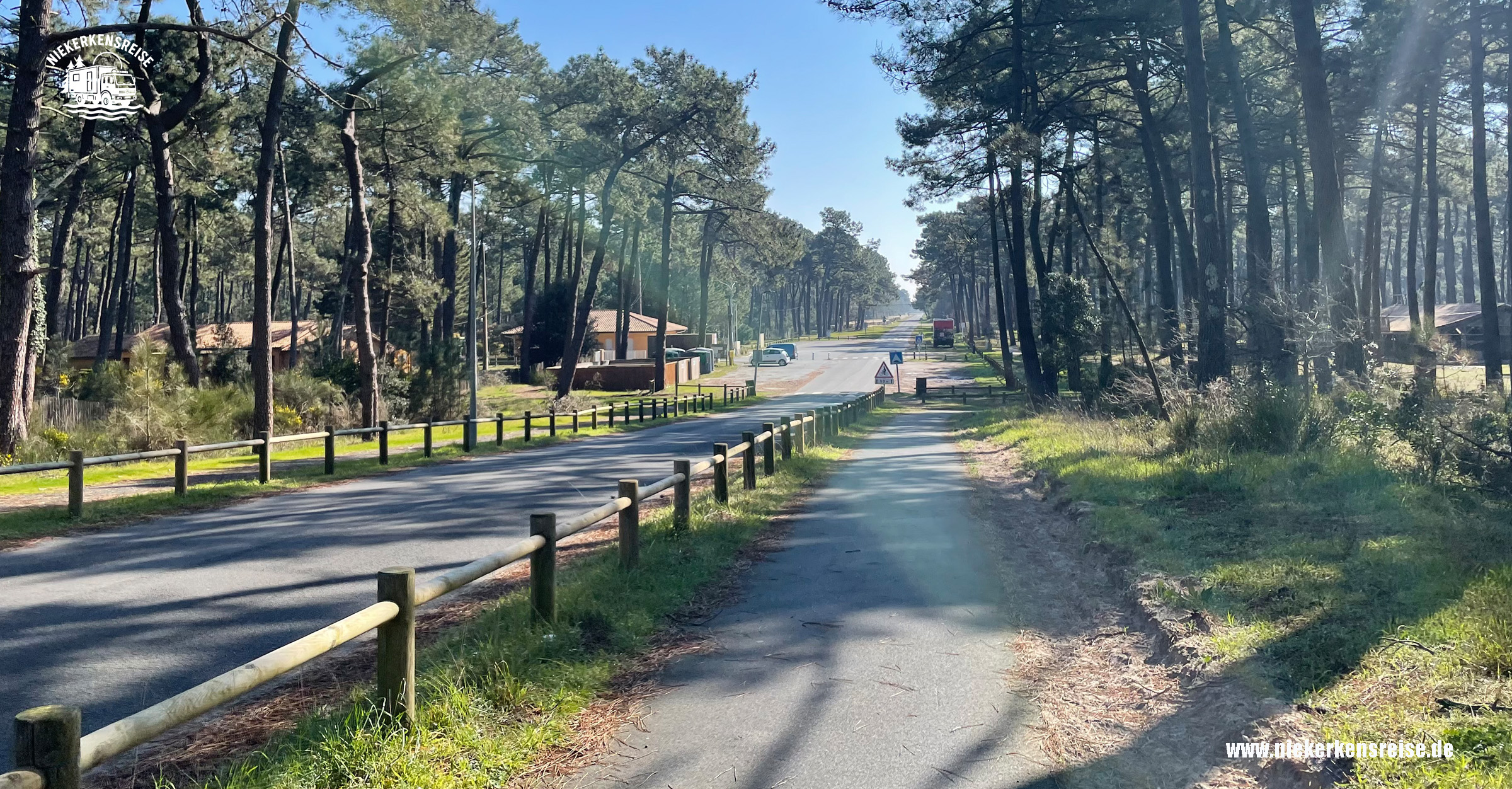 Zufahrt und Radweg durch den Pinienwald beim Campingplatz Le Gurp in Frankreich, unterwegs mit niekerkensreise