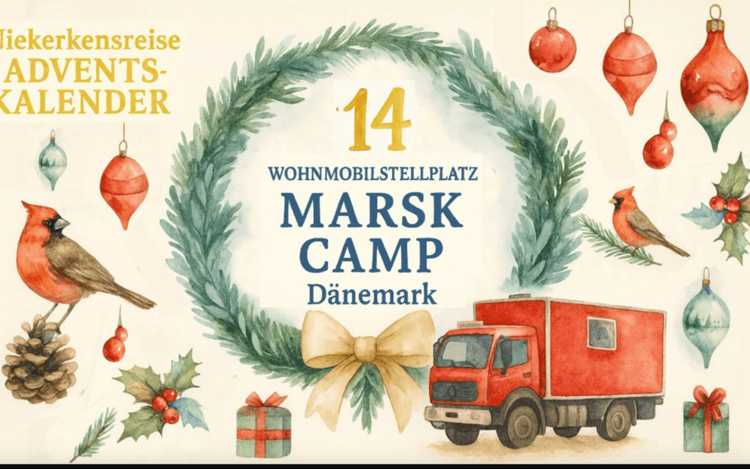 🎄 Vanlife Adventskalender Türchen #14: Wohnmobilstellplatz Marsk Camp – Dänemark kurz vor Rømø 🇩🇰🌾🚒