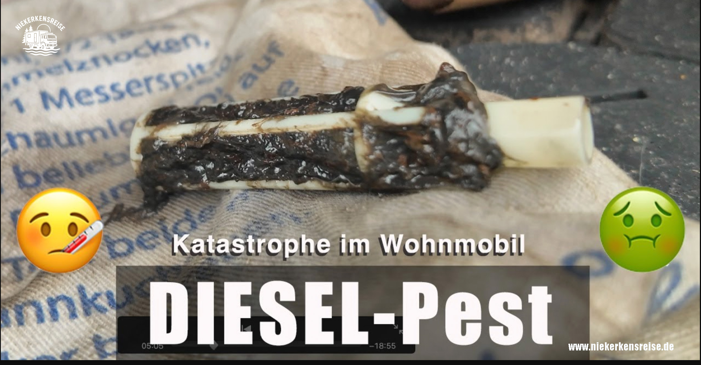 Dieselpest-im-Wohnmobil Dieselpest im Wohnmobil: verstopfter Dieselfilter mit schwarzem Biofilm nach Tankverunreinigung