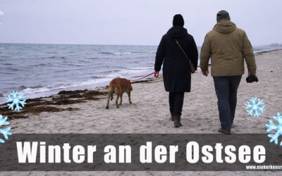 Winter an der Ostsee – warum sich ein Wohnmobil‑Kurztrip nach Grömitz auch in der kalten Jahreszeit lohnt