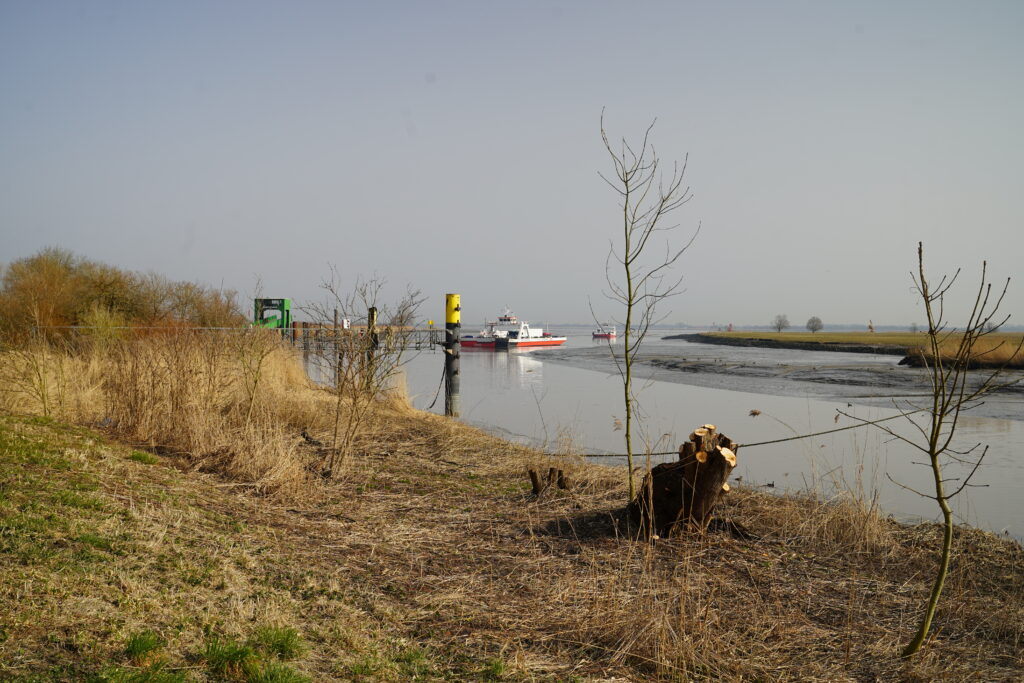 Blick auf die Elbe bei Wischhafen mit Fähre und Anleger – ruhige Landschaft an der Elbe nahe Wohnmobil-Stellplätzen, beliebtes Ziel für Kurztrip mit Wohnmobil oder Van.
