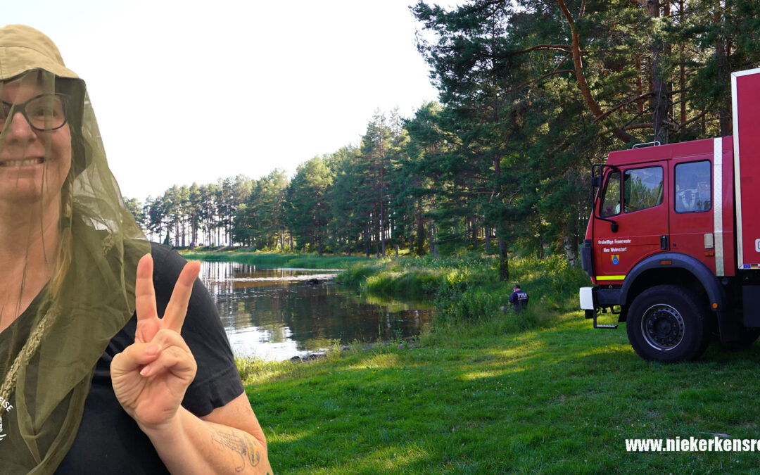 🦟 Mücken beim Campen: 12 Tipps die wirklich helfen (Wohnmobil & Vanlife)