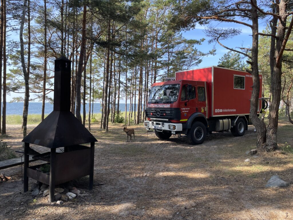 Rotes Expeditionsmobil - der Benz von Niekerkensreise -beim Freistehen im Kiefernwald direkt am Meer mit ausgewiesener Feuerstelle.