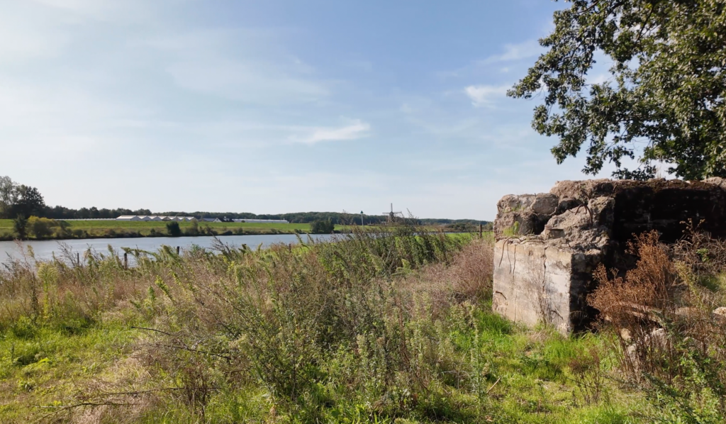 Blick auf die Maas bei Kessel in den Niederlanden mit grüner Uferlandschaft, Wiesen, Bäumen und einer alten Betonruine am Flussufer.