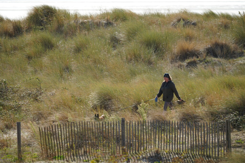 Spaziergang mit Hund durch die Dünen an der französischen Küste während unserer Wohnmobilreise durch die Normandie.