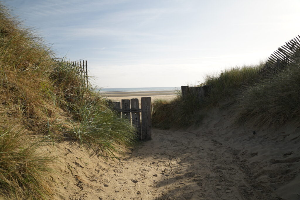 Sandiger Zugang zum Utah Beach in der Normandie, gesäumt von grasbewachsenen Dünen und Holzzäunen. Im Hintergrund erstreckt sich der breite historische Landungsstrand des D-Day bis zum Meer.