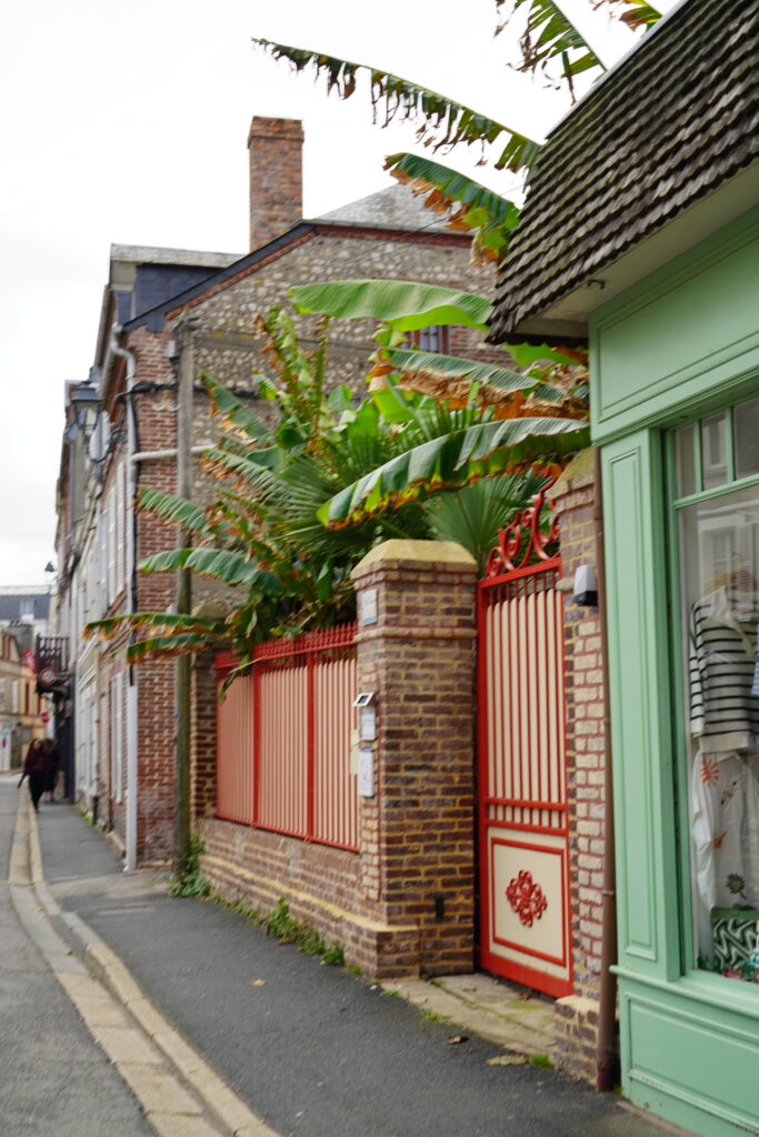 Charmante Straße in Étretat in der Normandie mit historischen Backsteinhäusern, einer mintgrünen Ladenfassade und einem rot-weißen Gartentor. Große Palmen und Bananenpflanzen verleihen dem französischen Küstenort ein mediterranes Flair.