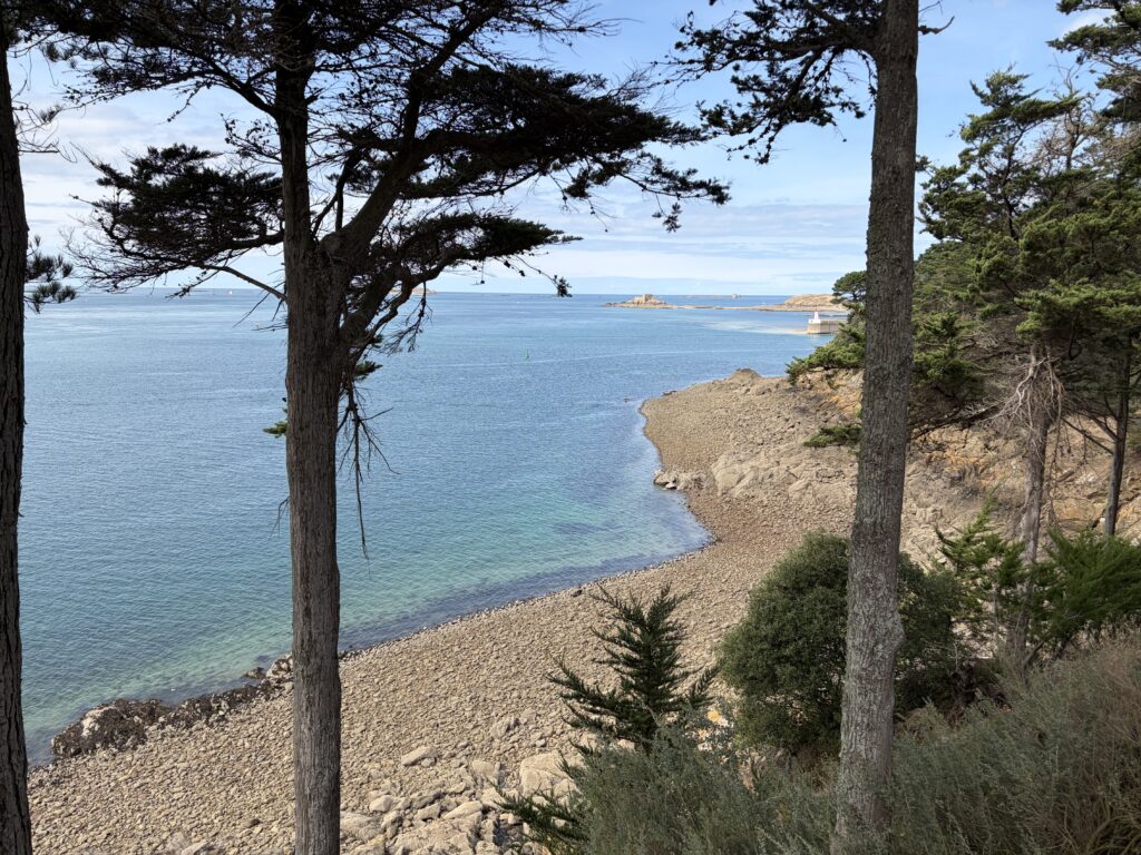 Blick durch Küstenkiefern auf eine felsige Bucht mit türkisblauem Meer an der Halbinsel Cité d’Alet in Saint-Malo, Bretagne, nahe dem Camping de la Cité d’Alet.