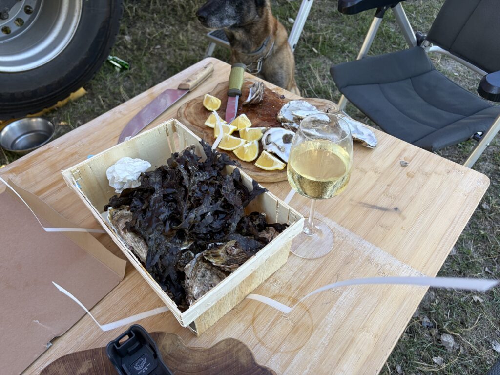 Frische bretonische Austern in einer Holzkiste mit Zitronenspalten und Weißwein auf dem Campingtisch vor unserem Expeditionsmobil in Hirel. Hund Elvis sitzt im Hintergrund.